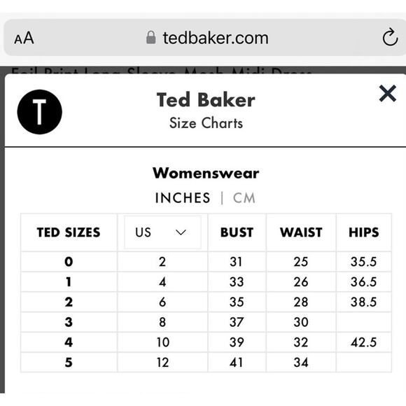 NEW TED BAKER DRESS 10 BROWN FESTIVE HOLIDAYS EVENING - Picture 6 of 16